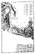 Image122-6.gif (33800 bytes)